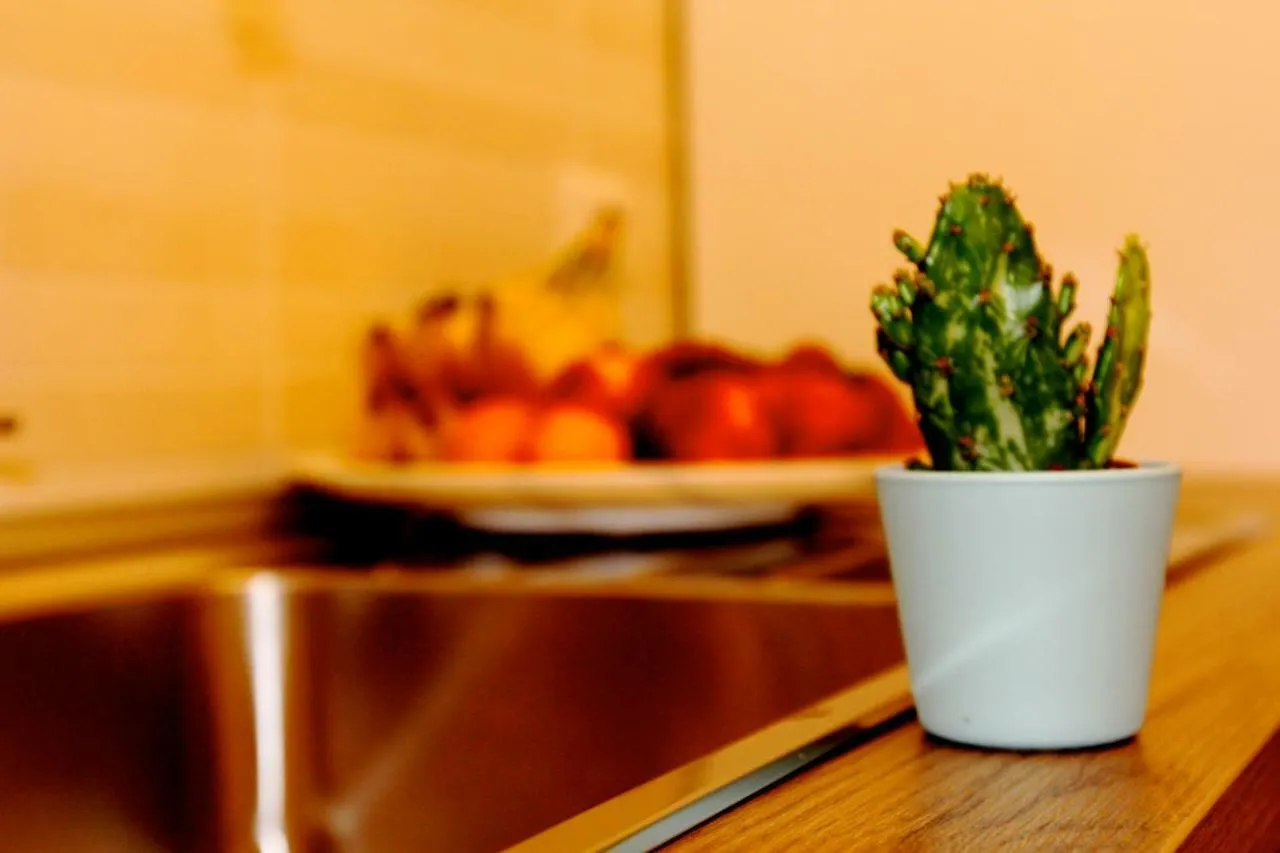 Bed and Breakfast Terre di Catania di Mier